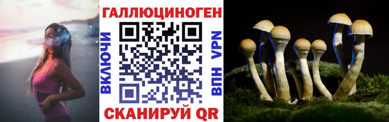 дарнет шоп  hydra маркетплейс  Псилоцибиновые грибы ЛСД  Райчихинск 